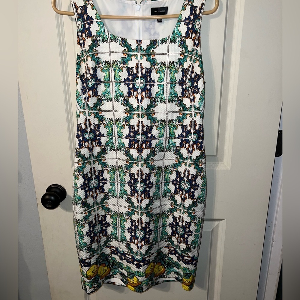 The Limited Dress
